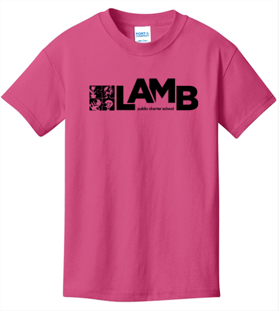 SAINT MICHAEL 21 LS TEE /PINK SHEEP SAINT MICHAEL PINK SHEEP